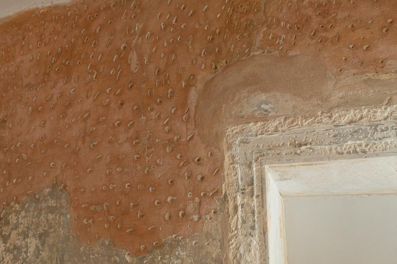 Domus Verona - Residenza Marconi Dış mekan fotoğraf